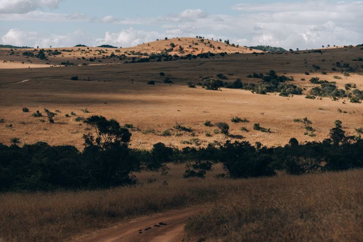 Laikipia - Kenya