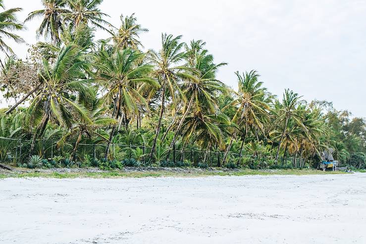 Diani Beach - Ukunda - Kenya