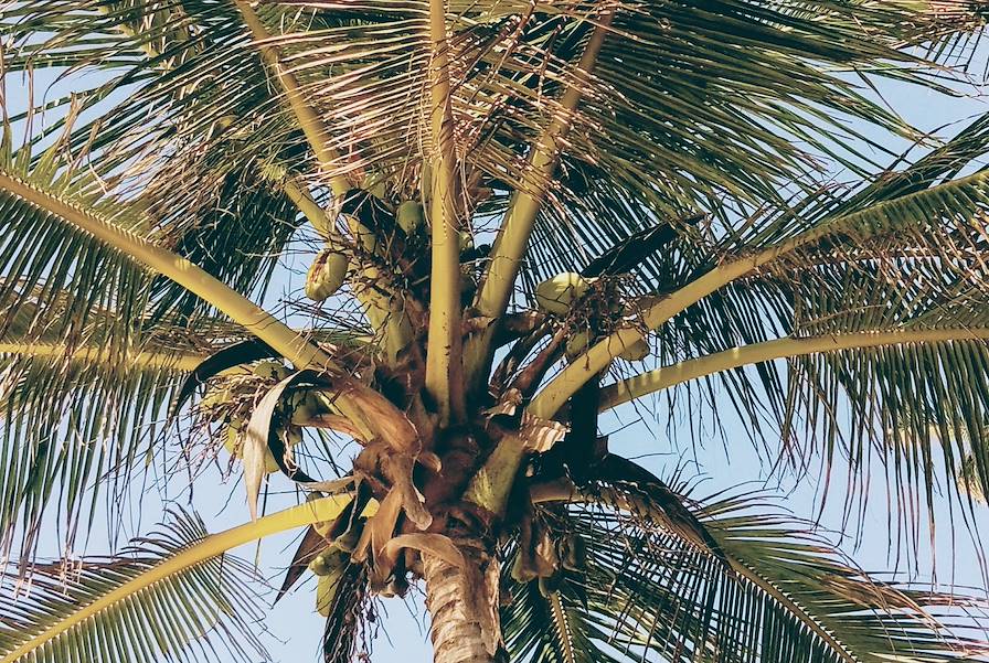 Diani Beach - Ukunda - Kenya