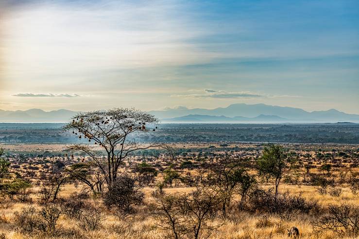 Réserve de Samburu - Kenya