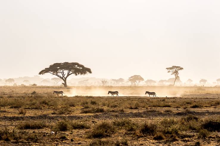 parc national d'Amboseli - Kenya