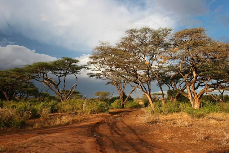 Réserve de Samburu - Kenya
