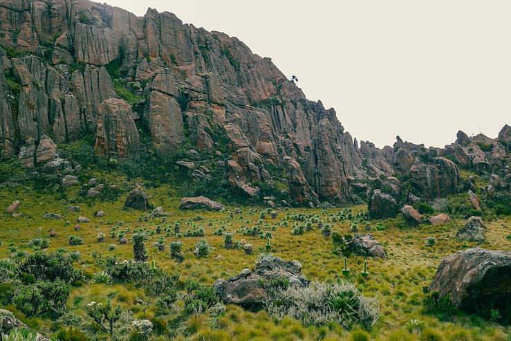 Parc national des Aberdares - Kenya