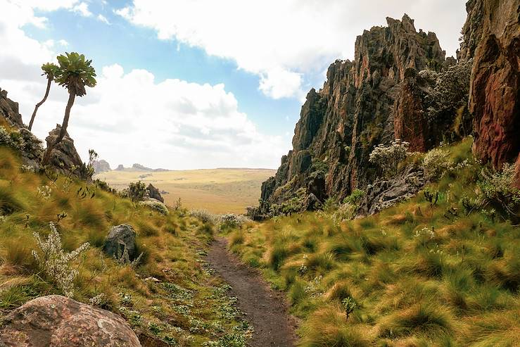 Parc national des Aberdares - Kenya