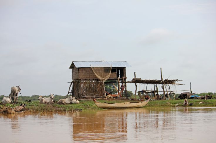 Habitation de pêcheurs - Battambang - Cambodge