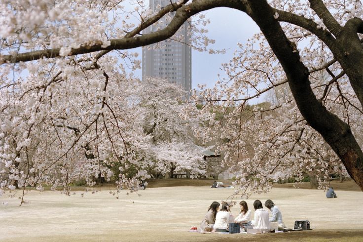 Tokyo - Japon