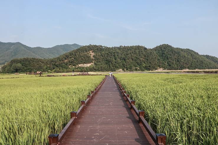Baie écologique à Suncheon - Corée du Sud