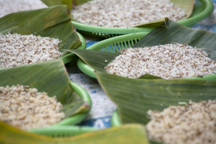 Laos