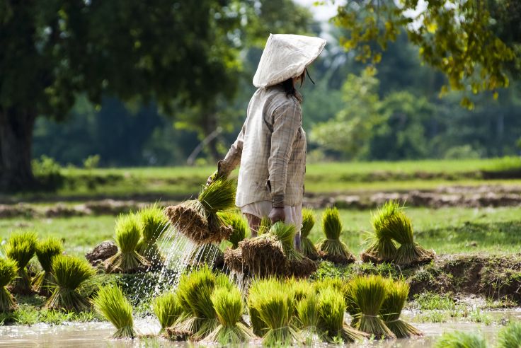 Laos