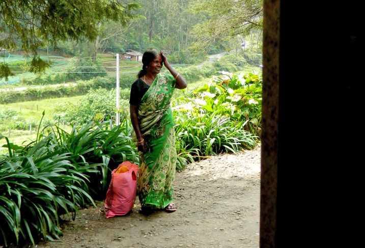 Voyage itinérant Sri Lanka - Anurâdhapura - Jaffna - triangle culturel - Ella - Wirawila - Ahungalla