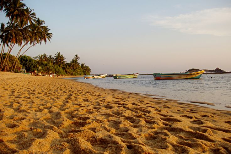 Voyage itinérant Sri Lanka - Dambulla - Kandy - Nuwara Eliya - Yala