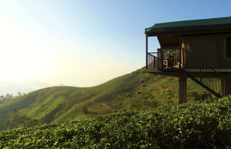 Madulkelle Tea & Eco Lodge - Madulkelle - Sri Lanka