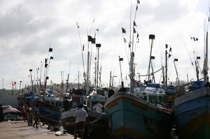 Voyage itinérant Sri Lanka - Mirissa - Wirawila - Nuwara Eliya - Colombo