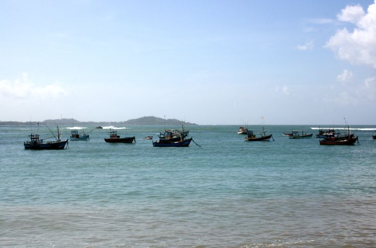 Voyage itinérant Sri Lanka - Mirissa - Wirawila - Nuwara Eliya - Colombo