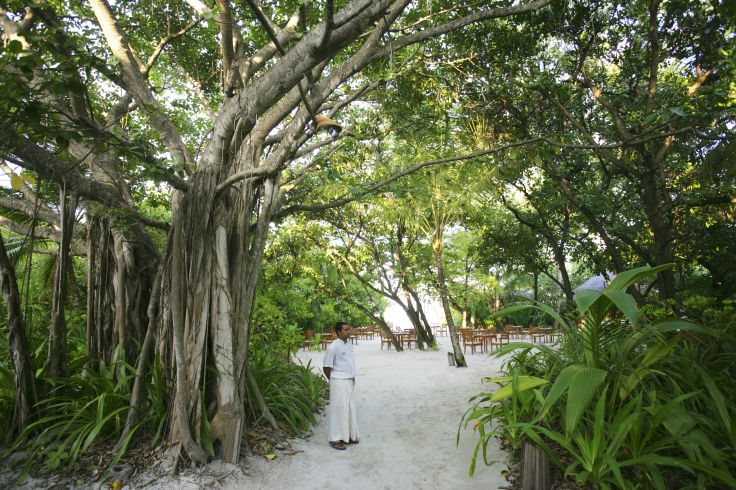 Coco Palm Dhuni Kolhu - Maldives