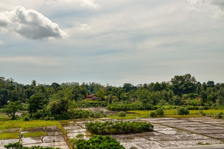 Voyage itinérant Sri Lanka - Anurâdhapura - Jaffna - triangle culturel - Ella - Wirawila - Ahungalla