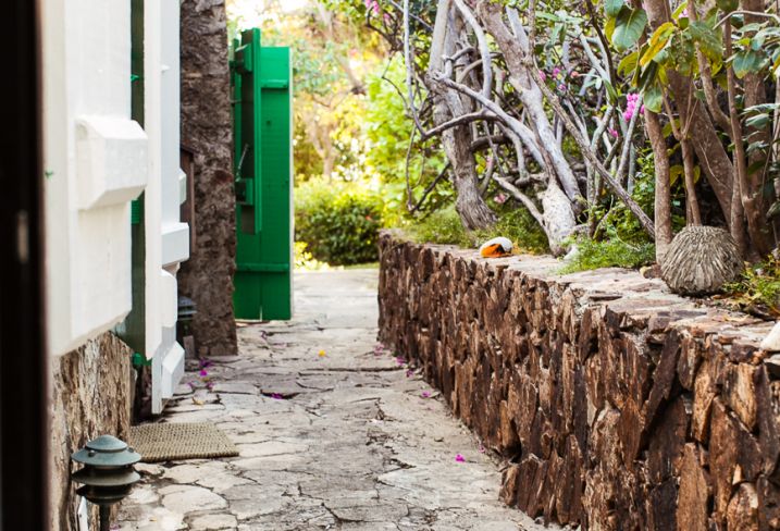 Guana Island - Iles Vierges Britanniques