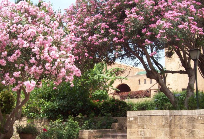 Rabat - Maroc