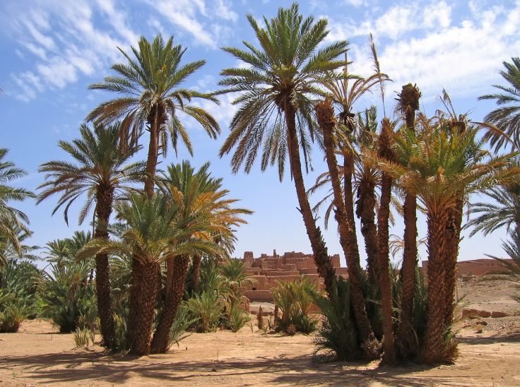 Zagora - Maroc