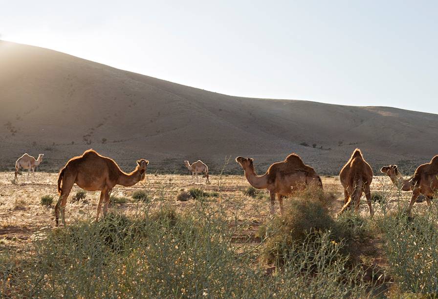 Tighmert - Maroc
