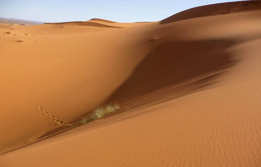 Zagora - Maroc