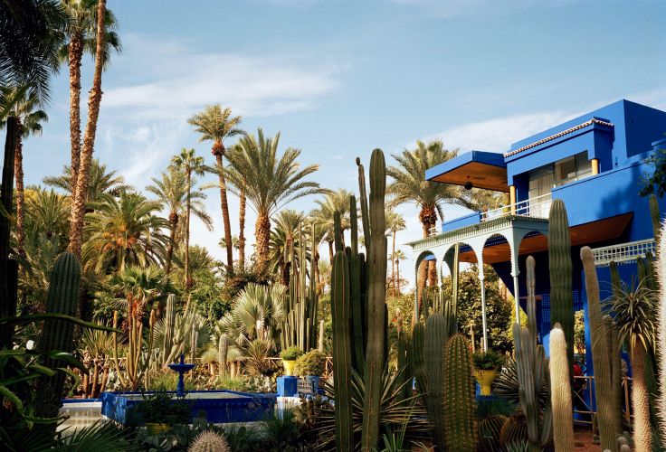 Jardin Majorelle - Marrakech - Maroc