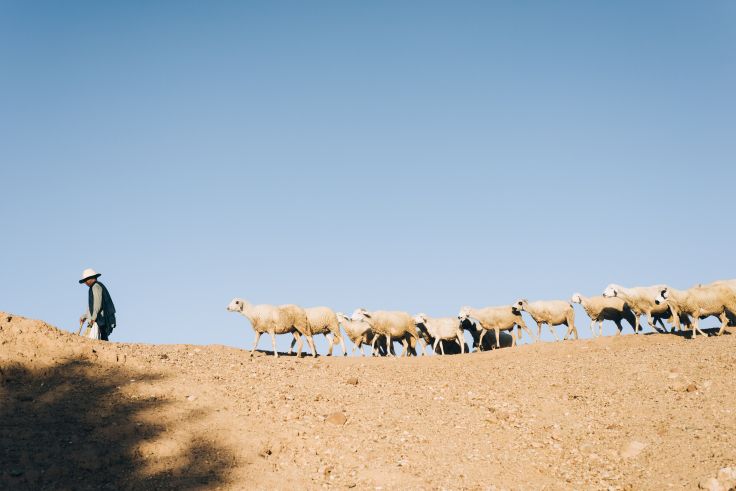 Région de Marrakech - Maroc