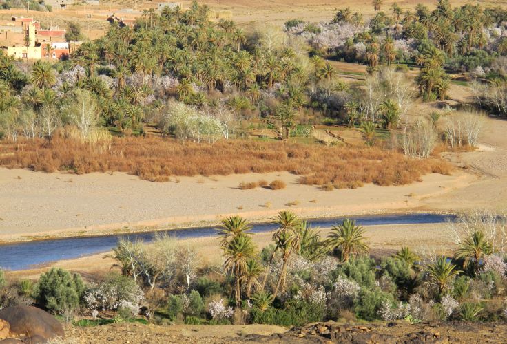 Skoura - Drâa-Tafilalet - Maroc