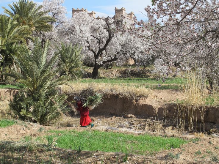 Ouarzazate - Drâa-Tafilalet - Maroc