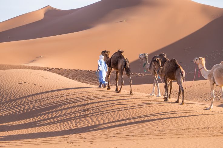 Dunes de Chegaga - Maroc
