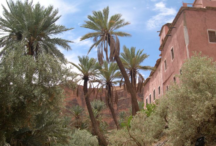 Tafraout - Maroc