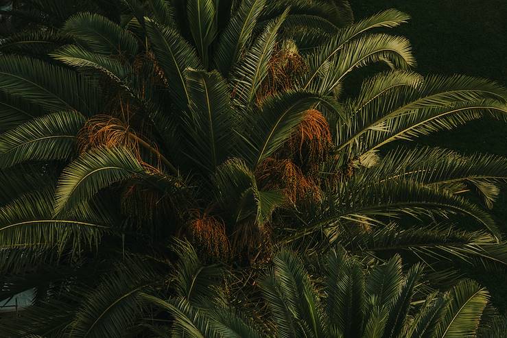 Marrakech - Maroc