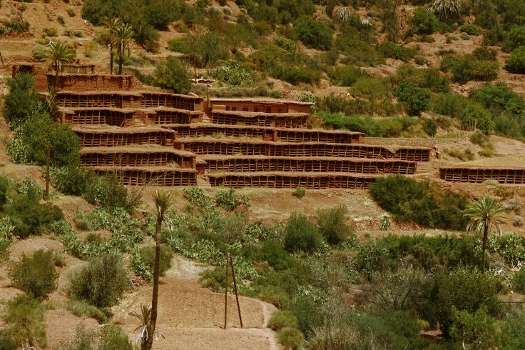 Taroudant - Maroc
