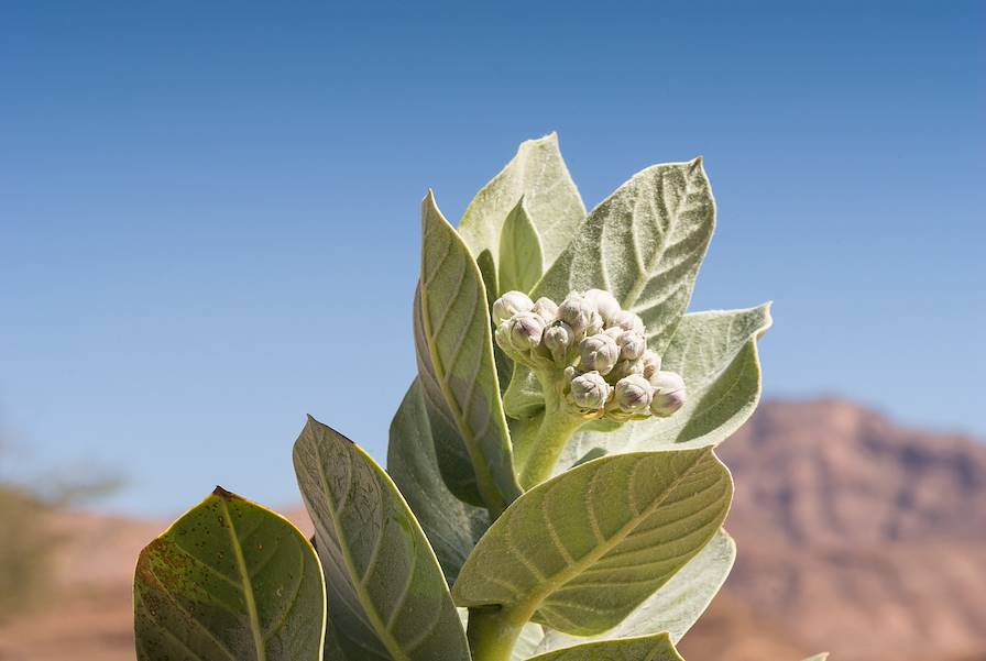 Tata - Maroc