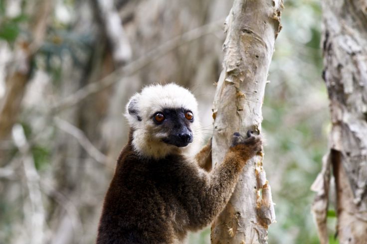 Parc national de l'Isalo - Madagascar