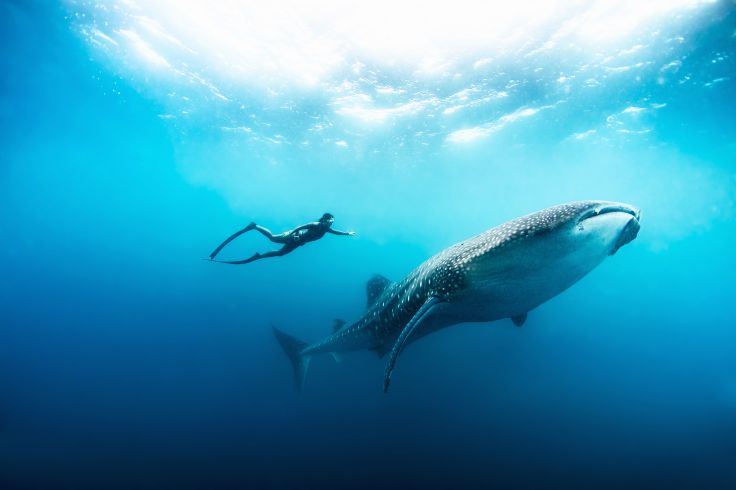 Kunfunadhoo - Maldives
