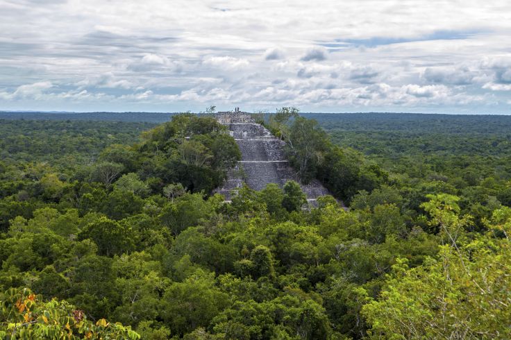 Cité maya de Calakmul - Mexique
