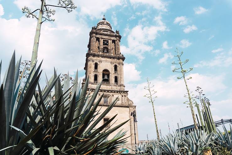 Cathédrale - Mexico - Mexique