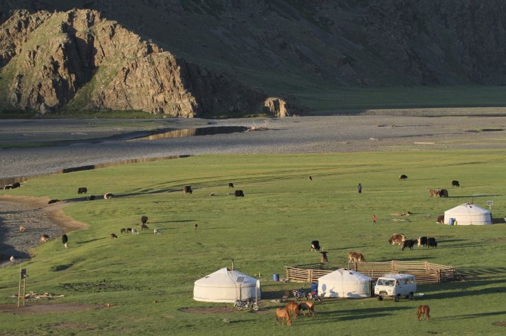 Vallée de l'Orkhon - Mongolie