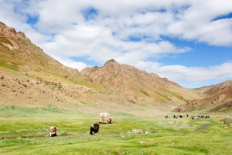 Parc national de Gobi Gurvan saikhan - Mongolie