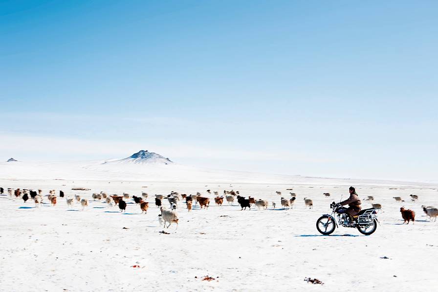 Mongolie © ZUMA Wire/ZUMA/REA