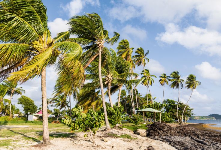 Le Vauclin - Martinique