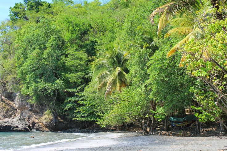 Voyage itinérant Martinique - Fort-de-France - Le Diamant