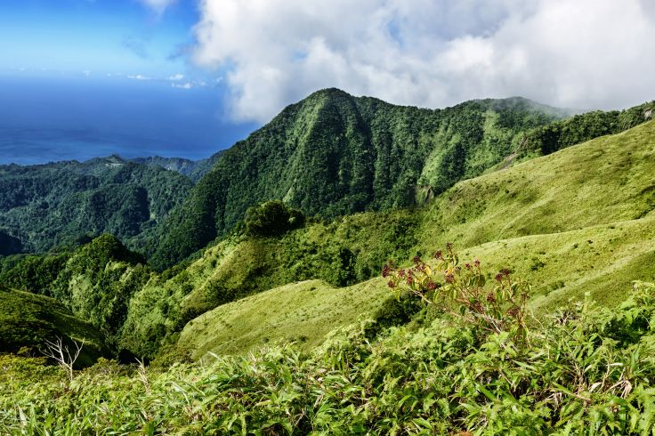Montagne Pelée - Martinique