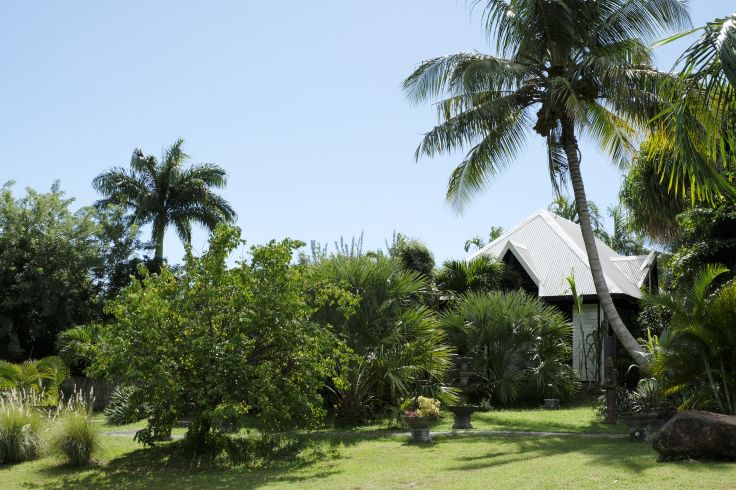 Voyage itinérant Martinique - Fort-de-France - Le Diamant