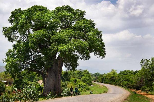 Malawi