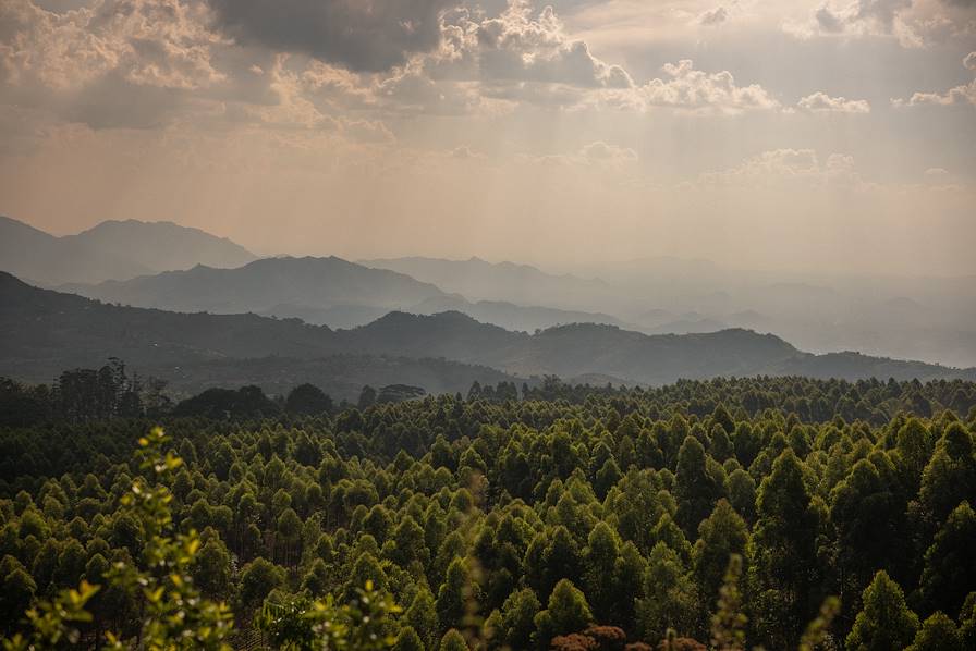 Zomba - Malawi © Olivier Romano