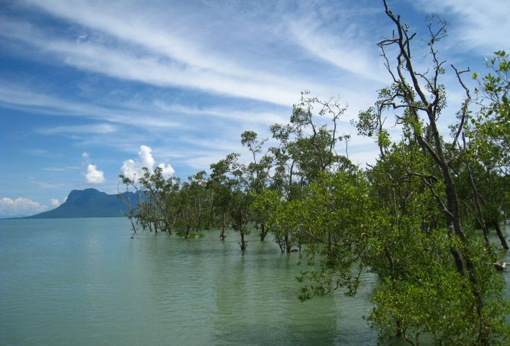 Parc national de Bako - Bornéo - Malaisie