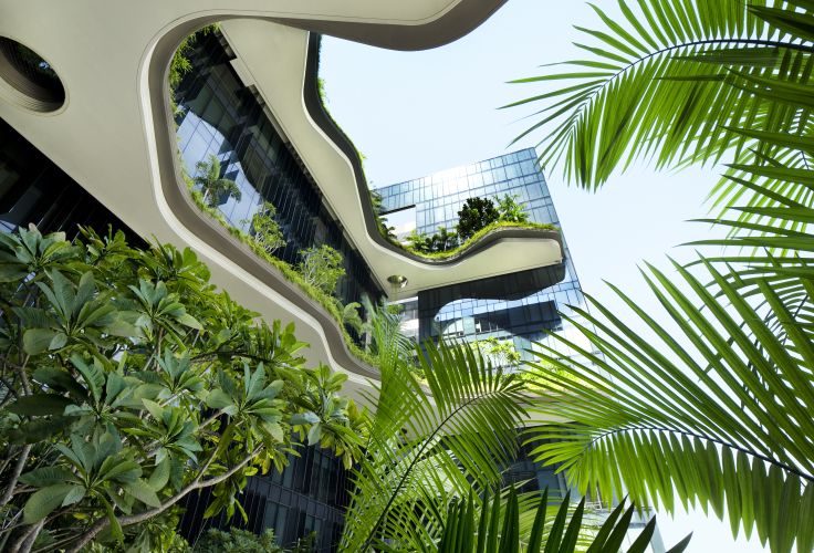 Singapour