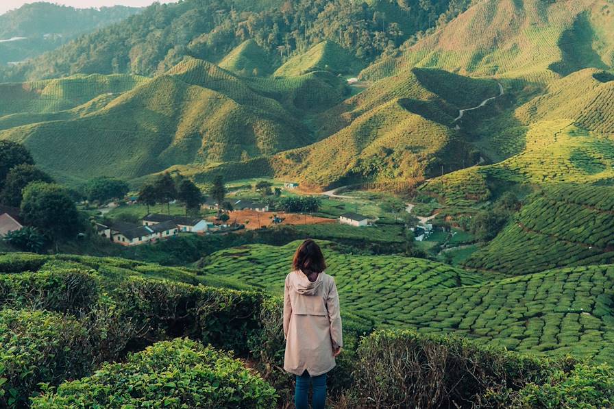 Cameron Highlands - Malaisie